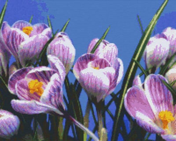 Kit 16 Plaques Fleurs