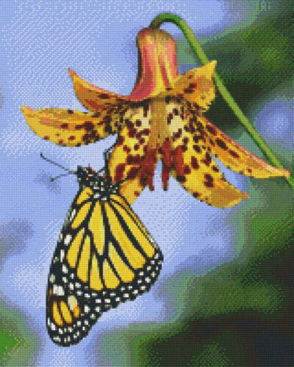 Kit 16 Plaques Fleur Papillon