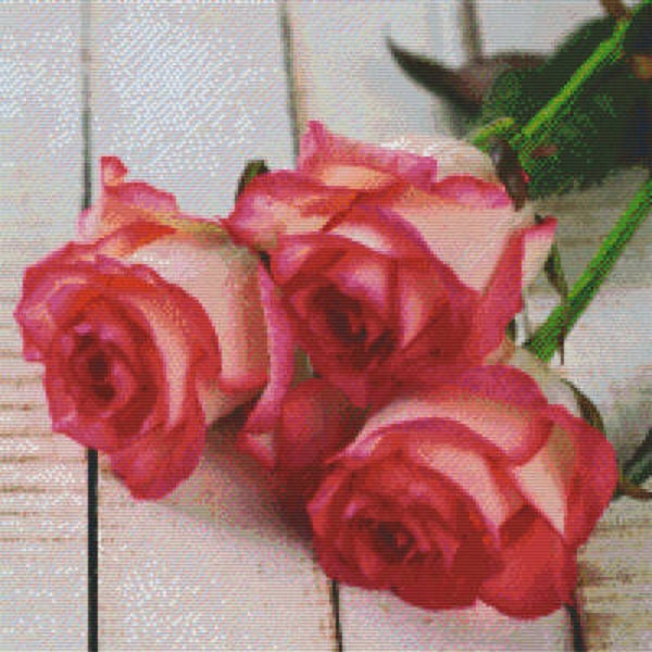 Kit 20 Plaques Fleurs