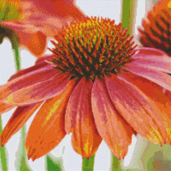 Kit 20 Plaques Fleur