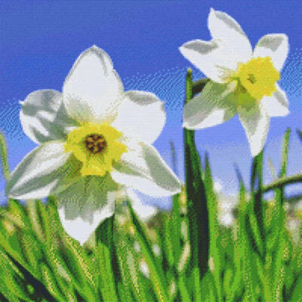 Kit 20 Plaques Fleurs