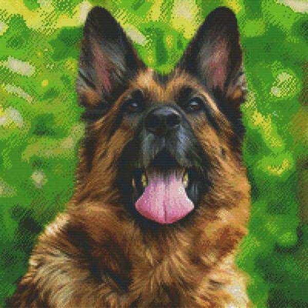 Kit 20 Plaques Chien