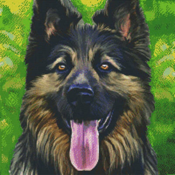 Kit 20 Plaques Chien