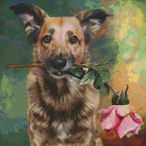 Kit 20 Plaques Chien