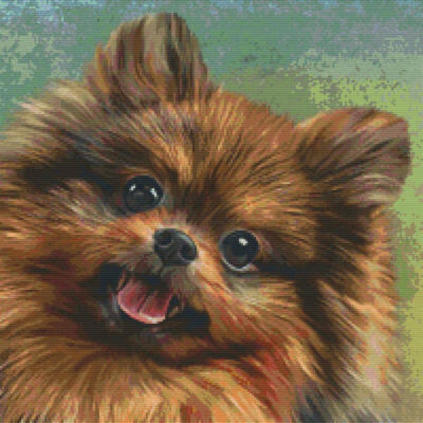 Kit 20 Plaques Chien