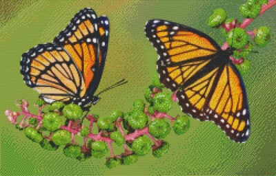 Kit 20 Plaques Papillons
