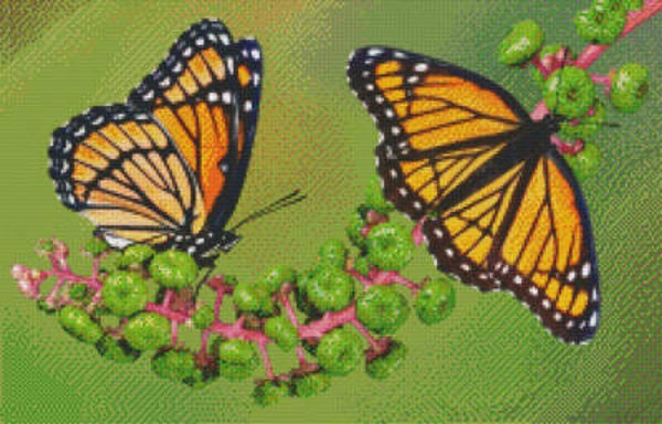Kit 20 Plaques Papillons