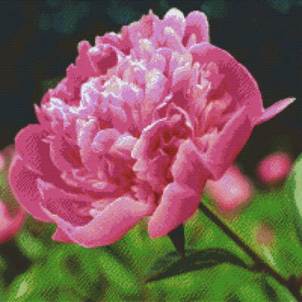 Kit 20 Plaques Fleur