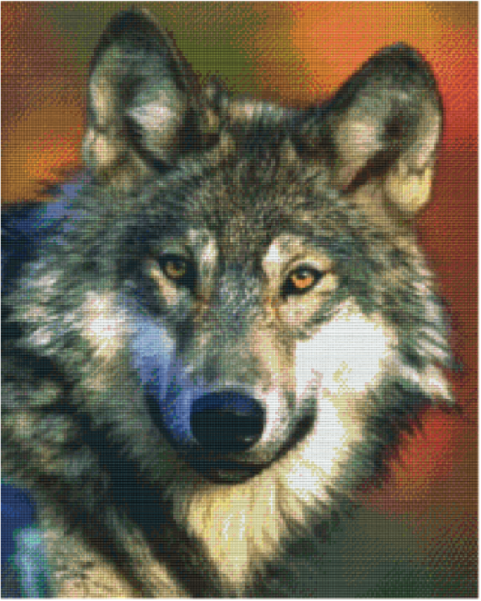 Kit 25 Plaques Loup