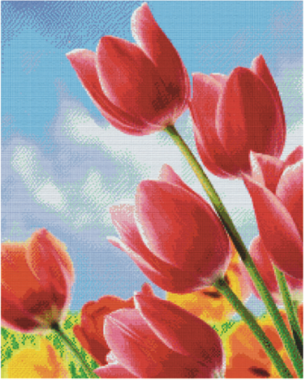 Kit 25 Plaques Fleurs