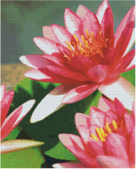 Kit 25 Plaques Fleurs