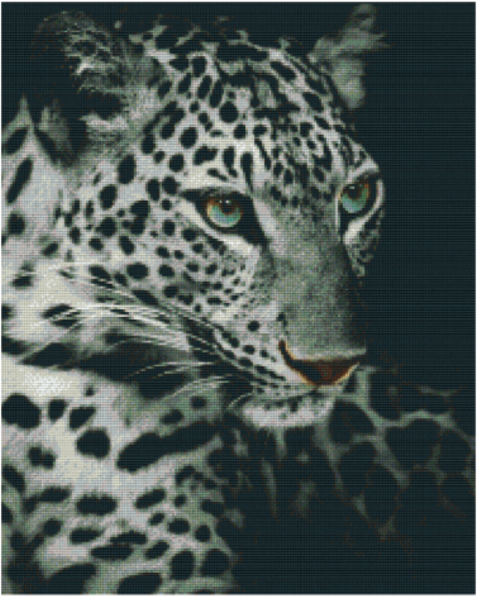 Kit 25 Plaques Leopard