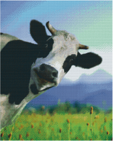 Kit 25 Plaques Vache