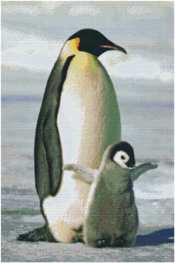 Kit 30 Plaques Pingouins