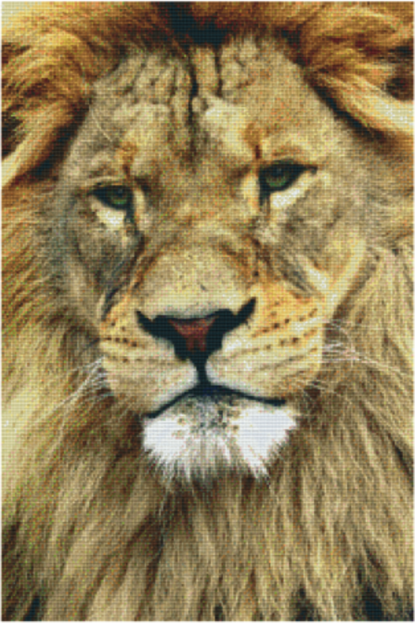 Kit 30 Plaques Lion