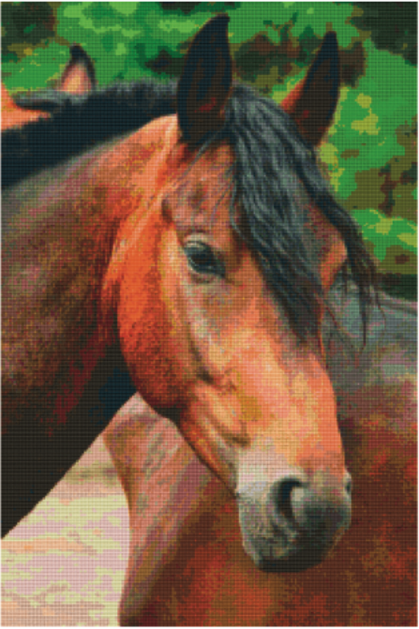 Kit 30 Plaques Cheval