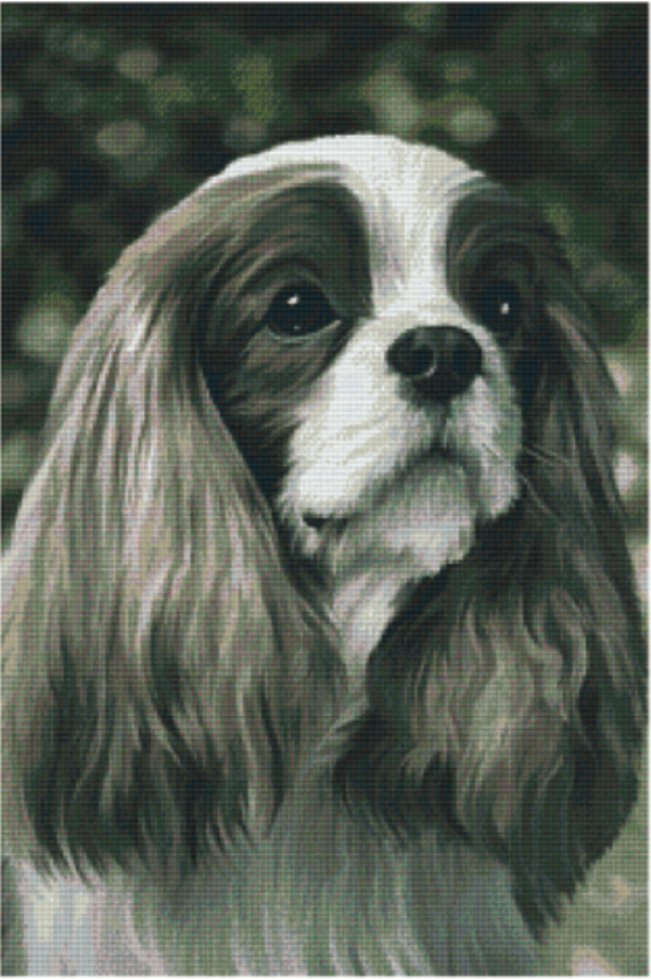 Kit 30 Plaques Chien