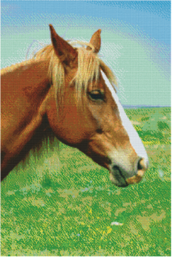 Kit 30 Plaques Cheval