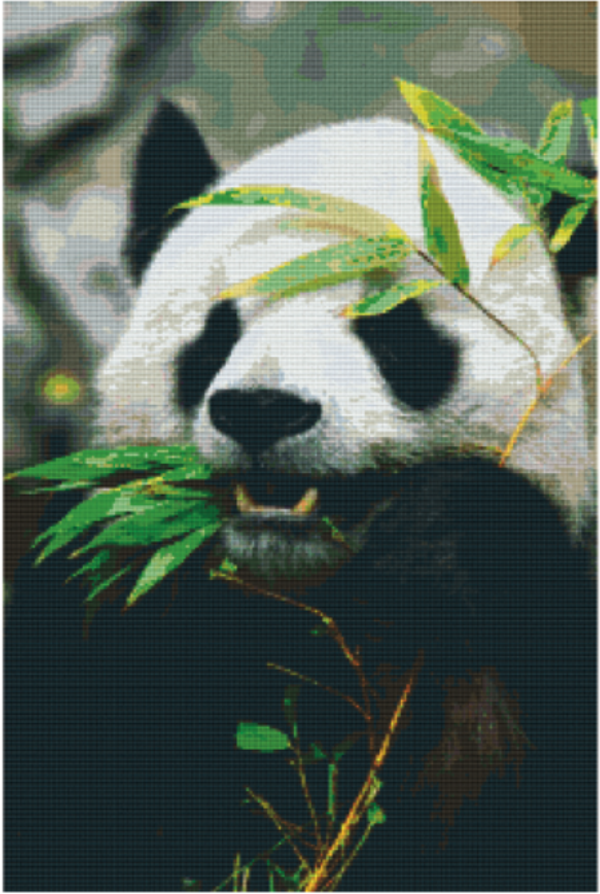 Kit 30 Plaques Panda