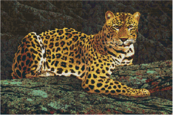 Kit 30 Plaques Leopard