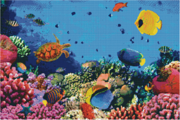 Kit 30 Plaques Poissons