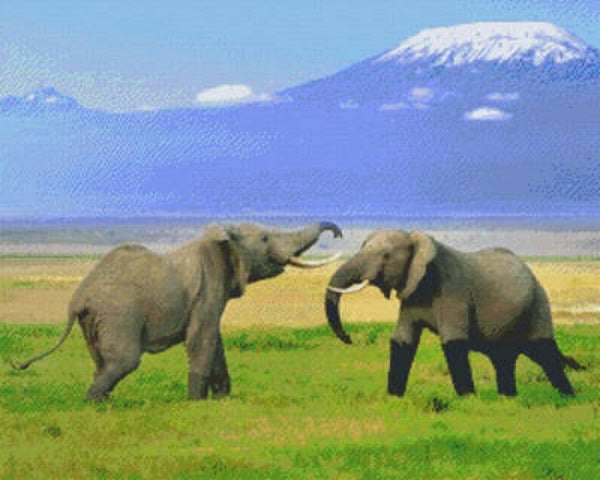 Kit 36 Plaques Eléphants
