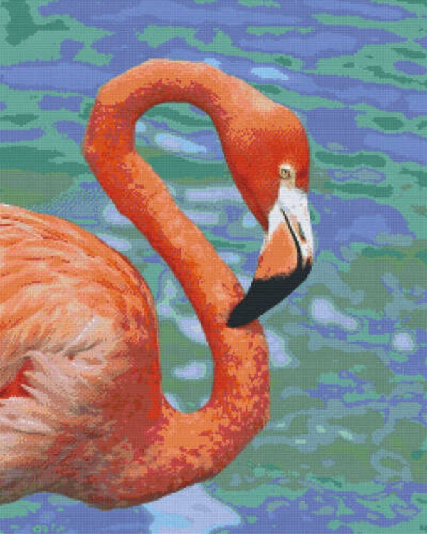 Kit 36 Plaques Flamant Rose