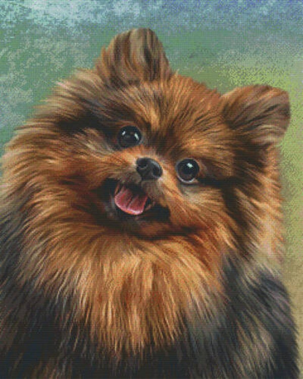 Kit 36 Plaques Chien