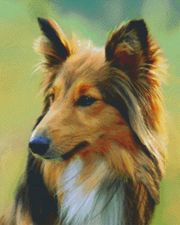 Kit 36 Plaques Chien