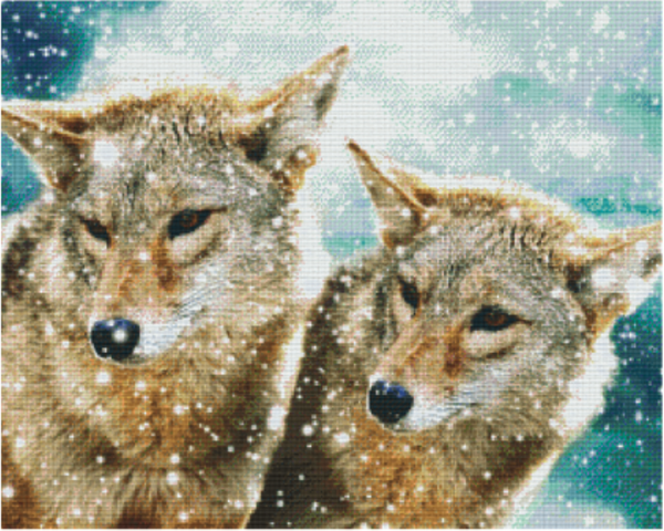 Kit 36 Plaques Loups