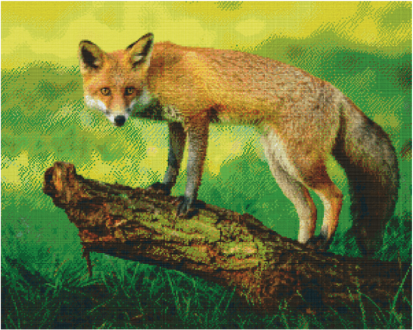 Kit 36 Plaques Renard