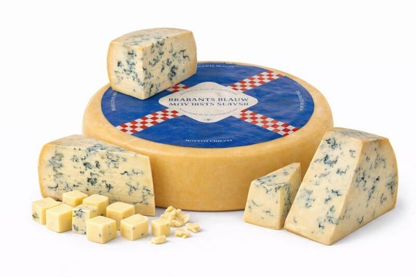 Hollandse Blauw