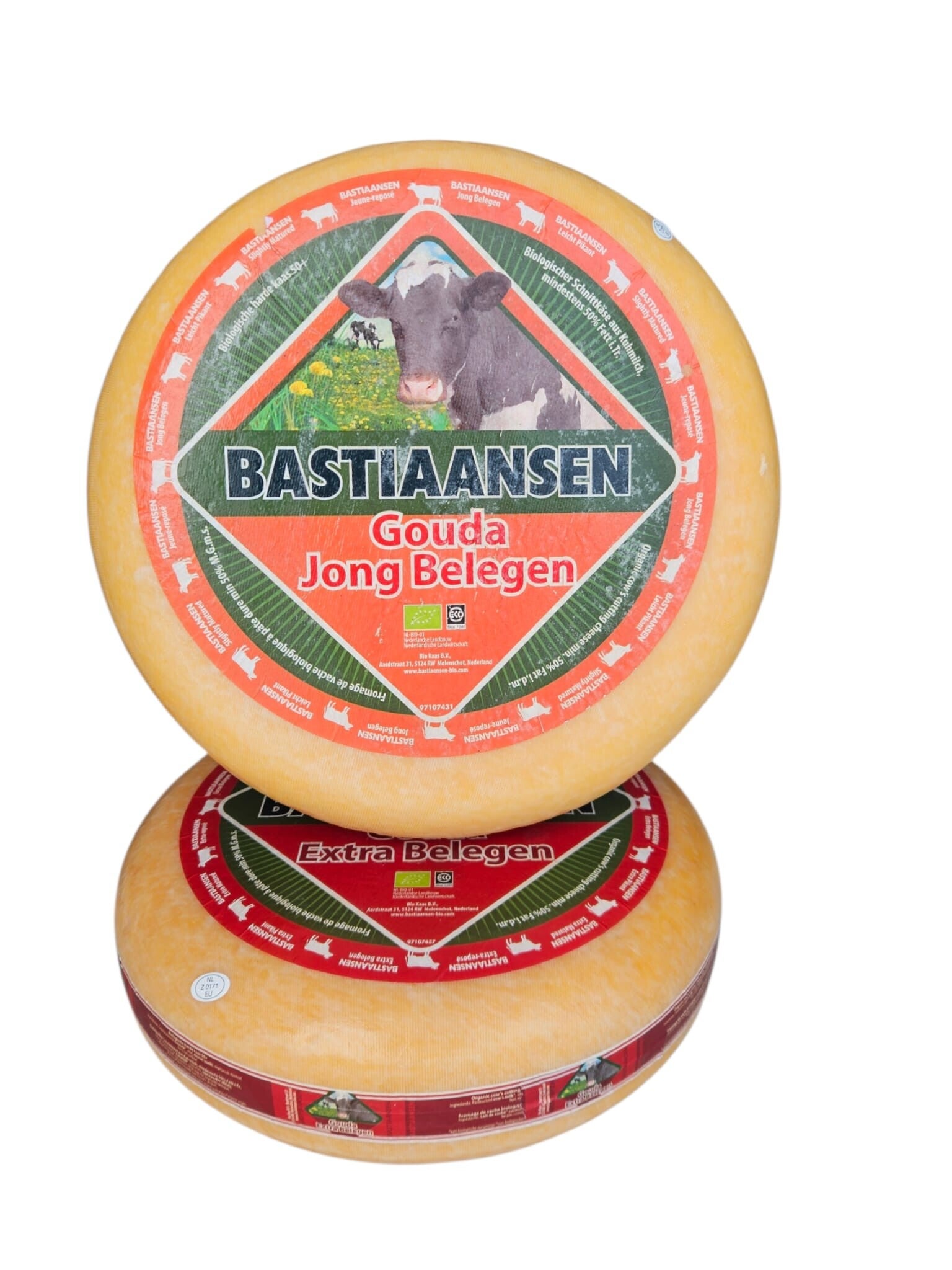 Bio Bastiaanse Jong Belegen