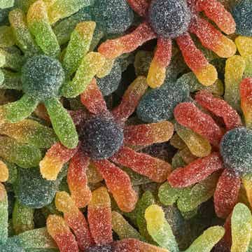 Inktvis Spin Zuur schepsnoep