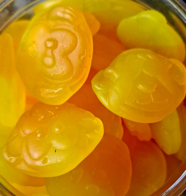 Orange Veggie Tropical Monkeys schepsnoep