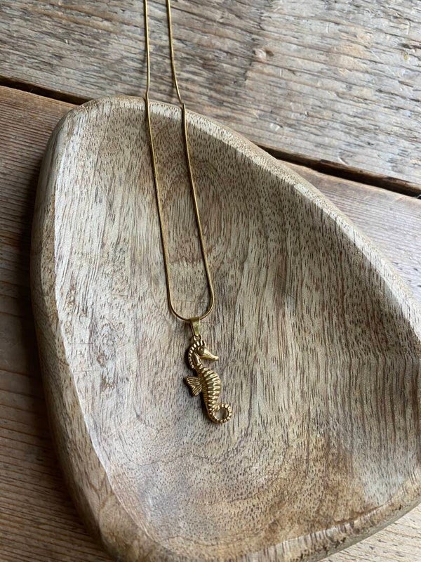 Ketting stainless steel - zeepaardje