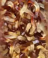 Cola Wormen schepsnoep