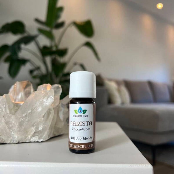 Barista Choco, All Day Blend