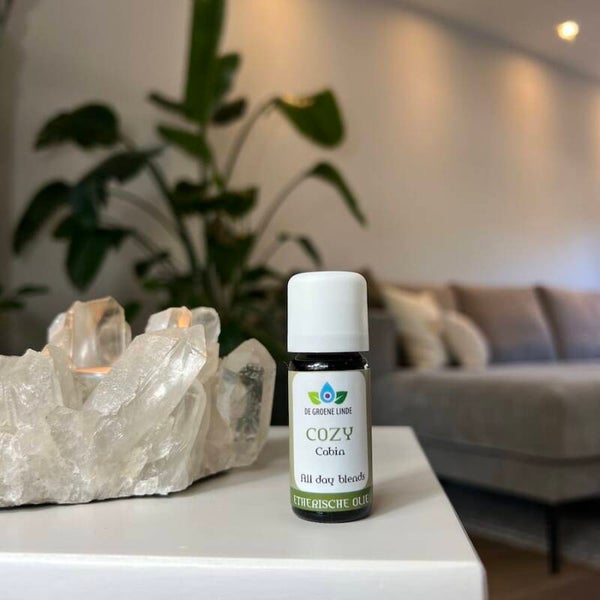 Cozy Cabin, All Day Blend