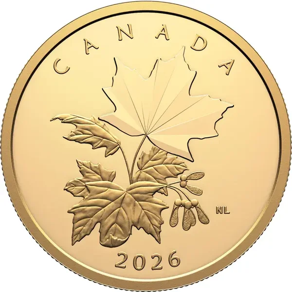 „Multifaceted Maple Leaves“ Goldmünze 2026 PP**
