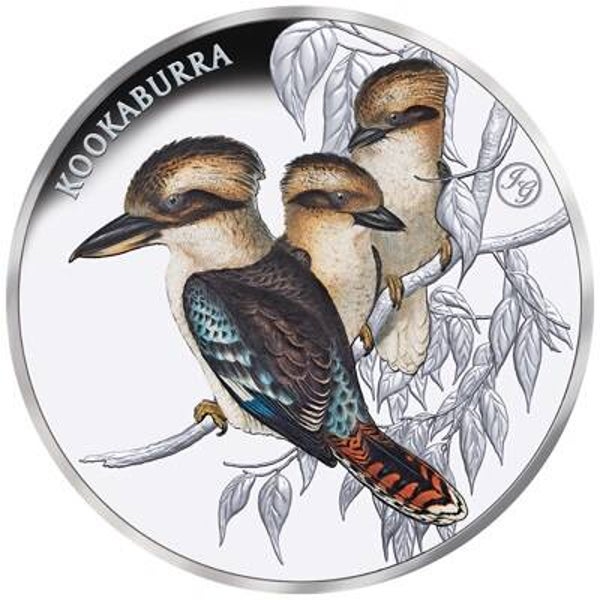 Niue - 1 NZD Kookaburra (Privy Mark John Gould) 2025 - 1 Oz Silbermünze PP Color