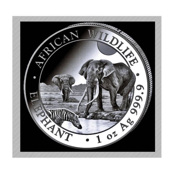 Somalia –African Wildlife Elefant 2026  1 oz Silbermünze