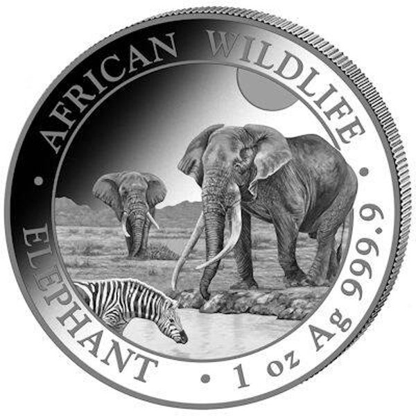 Somalia – African Wildlife „Elefant“ 2026 – 1 Oz Silbermünze