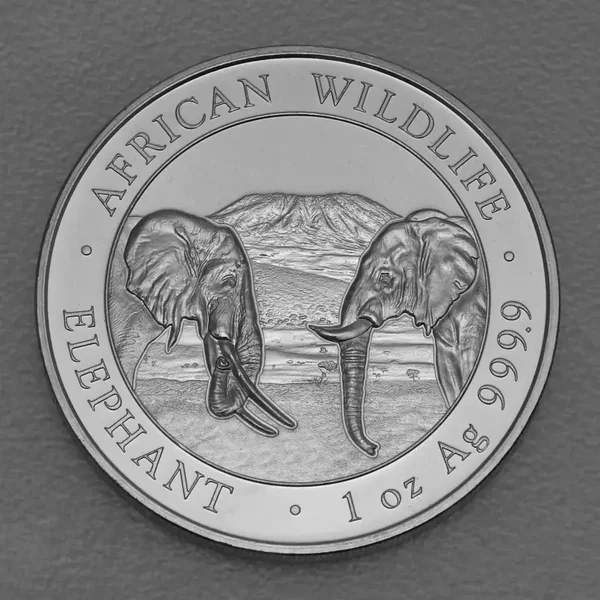 Somalischer Elefant 2020 – Silbermünze 1 Unze*