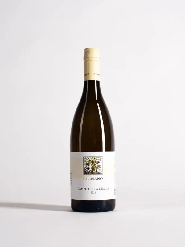 Cignano: Campo della Cicala Sauvignon Blanc