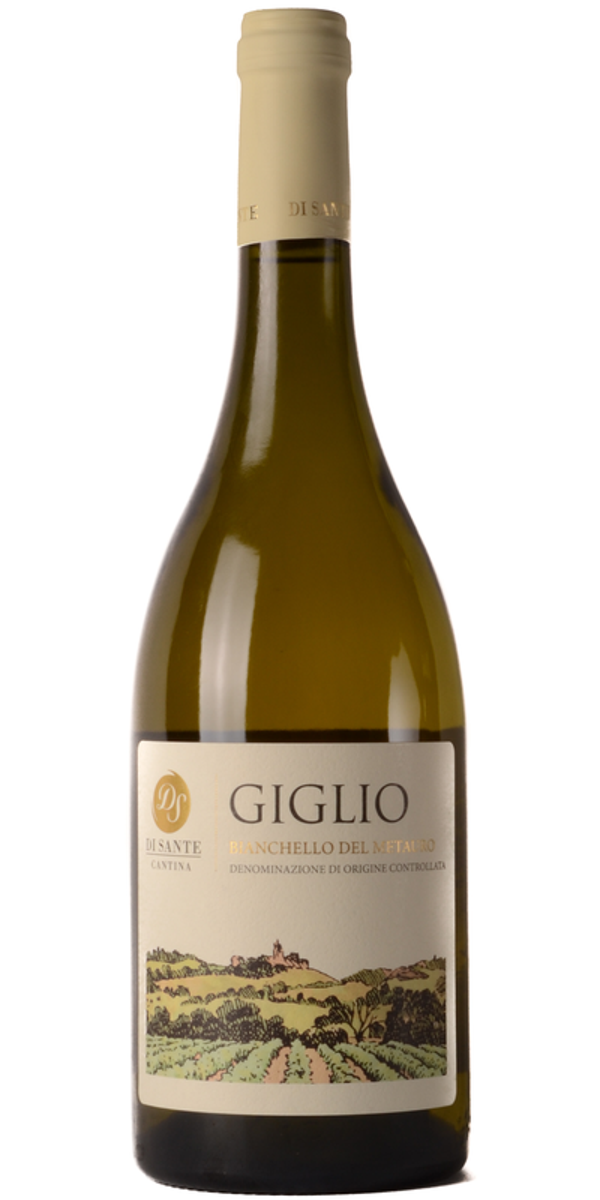 Giglio