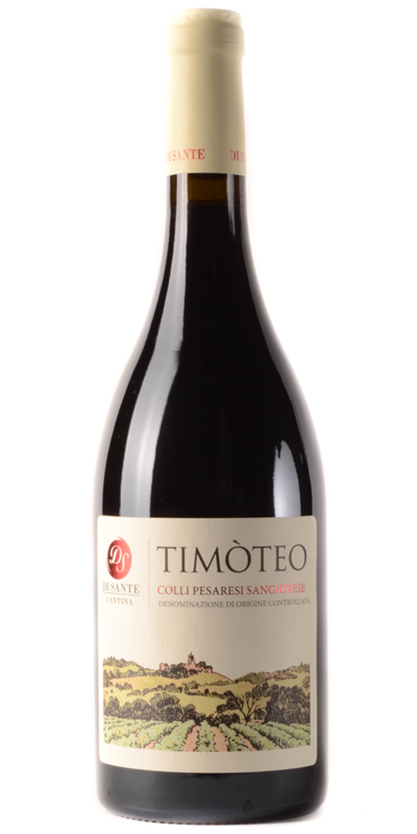Timoteo