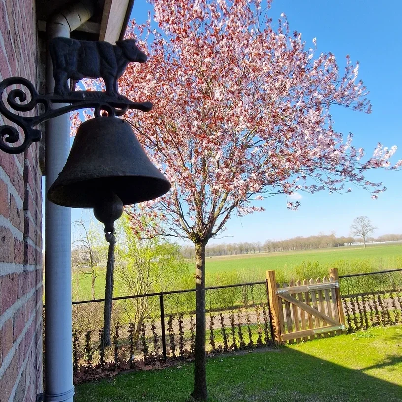 Tuin van Streejp Cottage