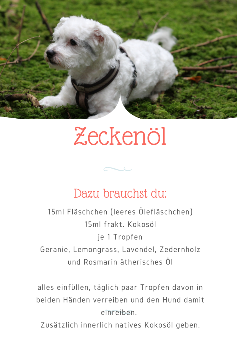 Zeckenöl Hund natürlicher Schutz durch ätherische Öle von Doterra, Parasiten, Geranie, Lemongrass, Lavendel, Zedernholz Rosmarin, natives Kokosöl, fraktioniertes Kokosöl
