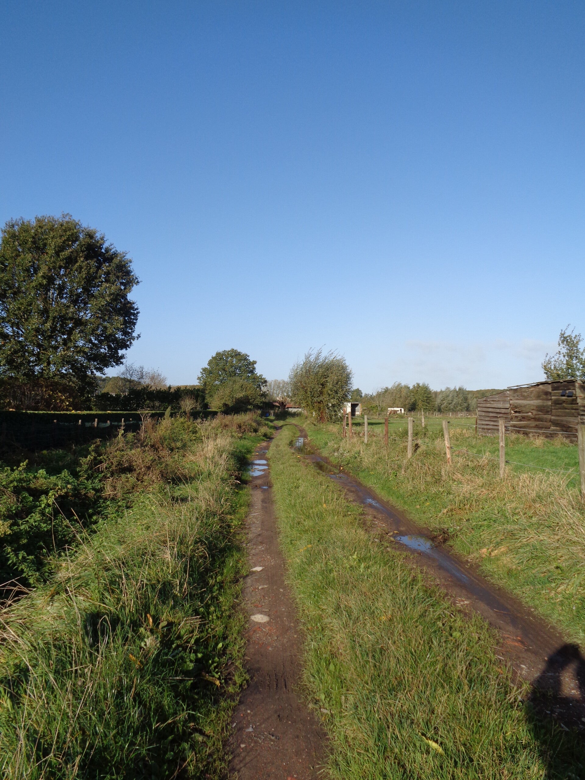dsc00833-standard.jpg